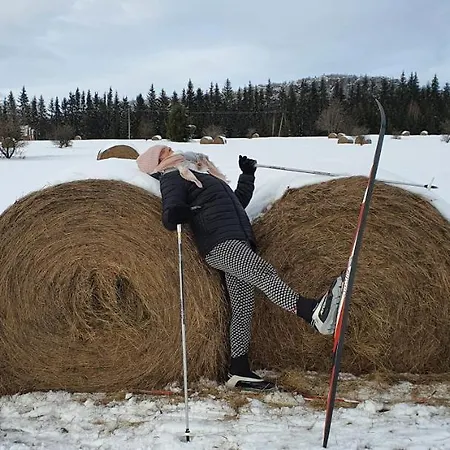 شقة Apartamencik Maja Studio *