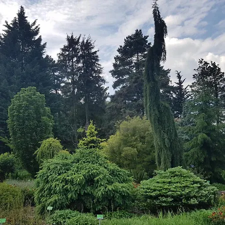 Apartamencik Maja Studio شقة كودوفا- زدروي