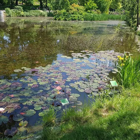 شقة Apartamencik Maja Studio