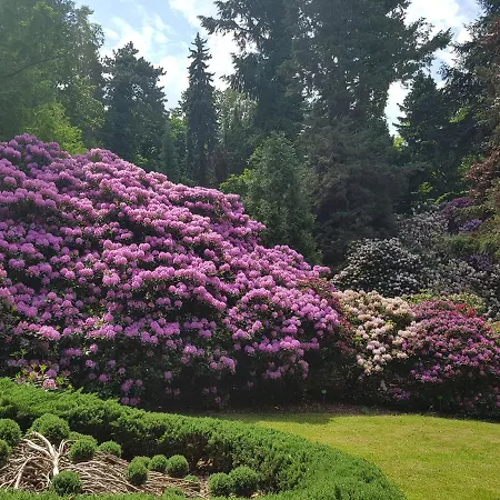 Apartamencik Maja Studio شقة